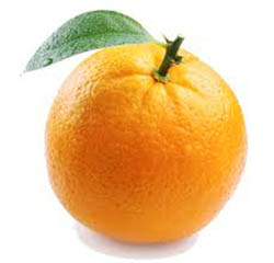 Citrus Plate Cleaner